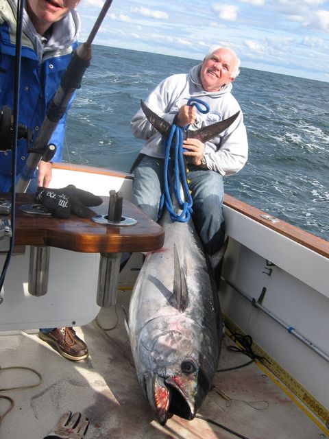 Bluefin Tuna